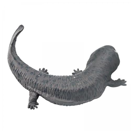 F Fityle 5X Salamander Spielzeugfigur, Realistische Wildtierstatue, Ab 3 Jahren, für Jungen Und Mädchen, Lernspielzeug Kollektionen, Salamander Tierfiguren von F Fityle