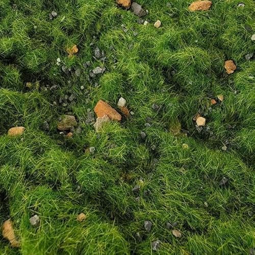 F Fityle 5X Simulation Pflanzendecke Miniatur 50G Bodengras Felsen für Mini Garten Modelleisenbahn Mikrolandschaft Wargame Architektur Bausatz von F Fityle