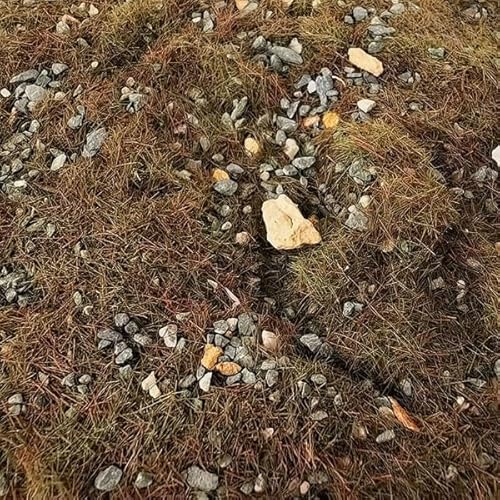 F Fityle 6X Simulation Pflanzendecke Miniatur 50G Bodengras Felsen für Mini Garten Modelleisenbahn Mikrolandschaft Wargame Architektur Bausatz von F Fityle