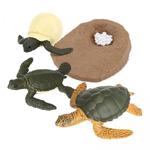 F Fityle Interaktives Spielzeug für Kinder - Ozeanische Kreatur Schildkröte, 3 STK. von F Fityle