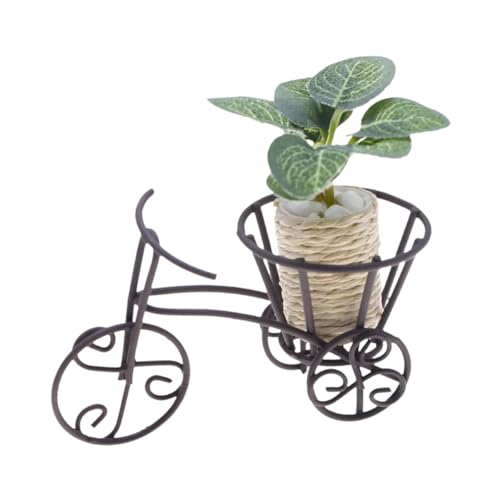 F Fityle Miniaturpuppenhaus Pflanzen Puppen Haus Accessoires Miniature Bonsai Künstliche Feengarten Ornament mit Stand 1:12 Skala F Fityle Miniaturpuppenhaus Pflanzen Puppen Haus Accessoires Miniature Bonsai Künstliche Feengarten Ornament mit Stand 1:12 Skala von F Fityle