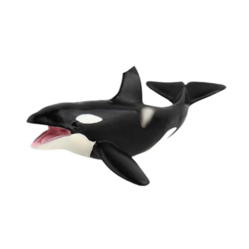 F Fityle Simulationswale Modellfiguren Meer Tier Figuren Sammlung Desktop Dekoration Marine Life Model Kinder Spielen Spielzeug für Kinder von F Fityle