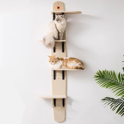 Katzensitzstangen und Klettergerüste über der Tür, mehrschichtiger Kletterturm zum Aufhängen von Katzenbäumen über der Tür, Sprunggerüst für Haustiere, Katzenbaum-Hängegerüst über der Tür, Leiter, Kat Katzensitzstangen und Klettergerüste über der Tür, mehrschichtiger Kletterturm zum Aufhängen von Katzenbäumen über der Tür, Sprunggerüst für Haustiere, Katzenbaum-Hängegerüst über der Tür, Leiter, Kat von FACAIDN