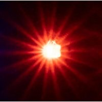 FALLER 163741 H0 TT N Z 5 selbstblinkende LEDs, orange von FALLER®