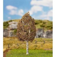 FALLER 181187 1 PREMIUM Birke, klein von FALLER®