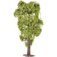 FALLER 181703 H0 TT N Robinie von FALLER®