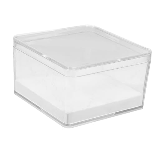FELTECHELECTR Entomologie Insekten Vitrine Kleiner Probenhalter Kristallbox Leicht von FELTECHELECTR