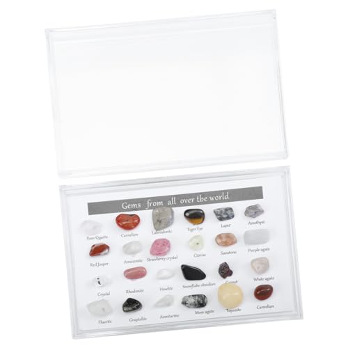 FELTECHELECTR 1 Schachtel Erz proben Quarz Strassaufkleber Vermögen heim Kristalldekor Naturstein Dekoration kleiner unregelmäßiger Stein kollektiver unregelmäßiger Stein Kunststoff-Box Colorful von FELTECHELECTR