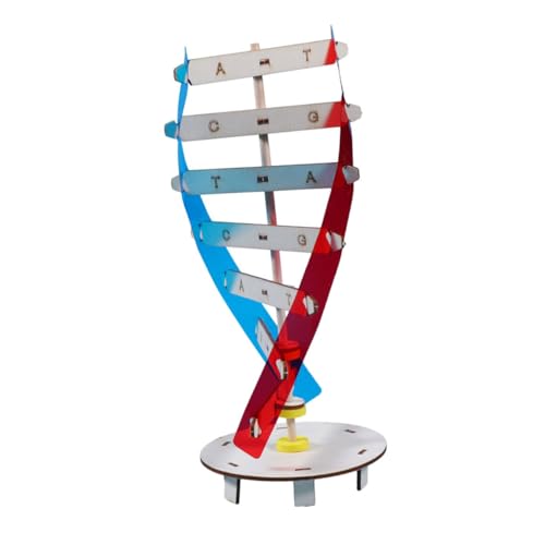FELTECHELECTR 1Satz DNA Modellspielzeug für DIY Doppelhelix DNA Lehrmittel Feinmotorik und Analytischen Fähigkeiten Pädagogisches Wissenschaftsmodell von FELTECHELECTR