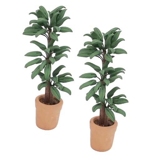 FELTECHELECTR Deko Pflanzen Kunstpflanze Bonsai Geldbaum Im Topf Puppenhaus Dekoration DIY Mini Bonsai Modell Für Landschaften Ideal Für Puppenhaus Zubehör Und Gartenmöbel FELTECHELECTR Deko Pflanzen Kunstpflanze Bonsai Geldbaum Im Topf Puppenhaus Dekoration DIY Mini Bonsai Modell Für Landschaften Ideal Für Puppenhaus Zubehör Und Gartenmöbel von FELTECHELECTR
