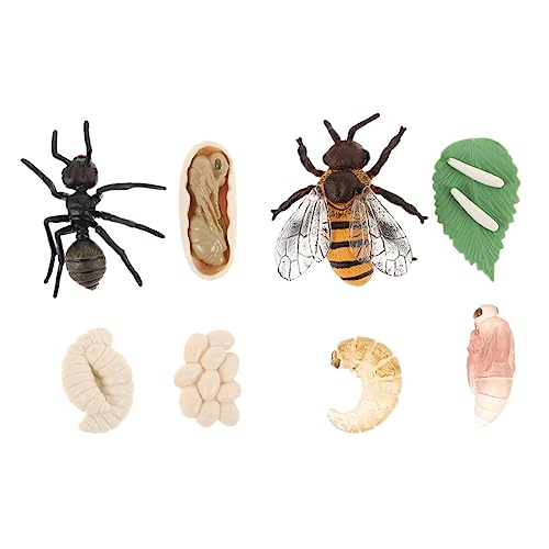 FELTECHELECTR 2Sätze Kognitive Insektenmodelle Lebenszyklusfiguren für Biene und Pädagogisches Vorstellungskraft und des Lebensbewusstseins für Schule von FELTECHELECTR