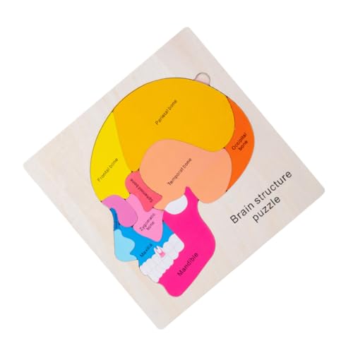 FELTECHELECTR Holz Gehirn Struktur Puzzle für Mehrschichtiges Montessori Lernspiel zur Kognitiven Entwicklung Stabiles Steckpuzzle für Kreatives Denken und Eltern Junge Mädchen interaktion von FELTECHELECTR