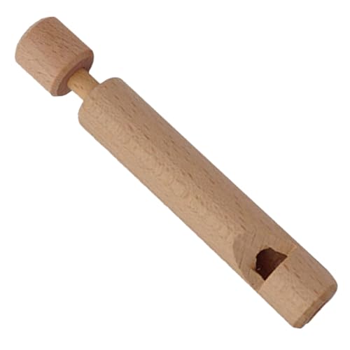 FELTECHELECTR Holzflöte Push Pull Musikinstrument DIY Mini Piccolo Flöte für Musikalische Früherziehung und Kreative Entwicklung Ab Jahren von FELTECHELECTR