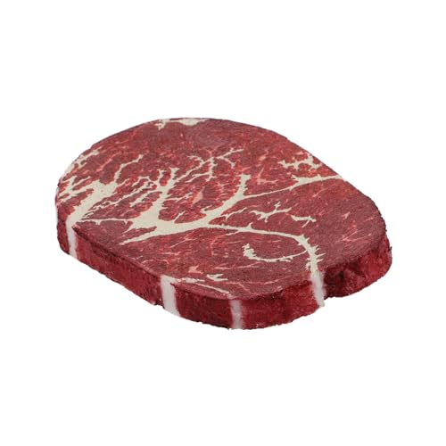 FELTECHELECTR Künstliches Steak Modell aus Harz Realistisches Fake Steak für Fotografie Dekoration und Lehrzwecke Hochwertiges Lebensmittelmodell Displays und Partys von FELTECHELECTR