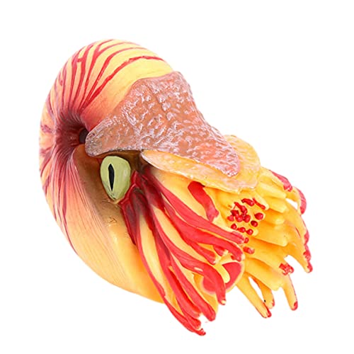 FELTECHELECTR Nautilus Modell Realistisches Kunststoff Nautilus Tierfigur für Pädagogisches Dekorationsornament für Aquarium und Kinderzimmer Fördert Fantasie und Umweltbewusstsein FELTECHELECTR Nautilus Modell Realistisches Kunststoff Nautilus Tierfigur für Pädagogisches Dekorationsornament für Aquarium und Kinderzimmer Fördert Fantasie und Umweltbewusstsein von FELTECHELECTR