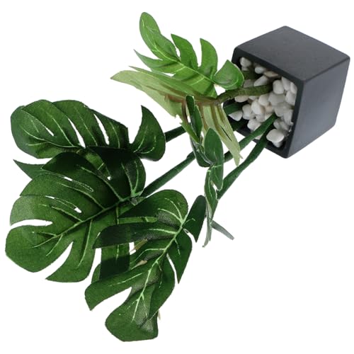 FELTECHELECTR Puppenhaus Topfpflanze Künstliche Bonsai Dekoration für Mini Realistische Kunstpflanze für Puppenhauszubehör Pflegeleichte Gartendekoration für Kreative FELTECHELECTR Puppenhaus Topfpflanze Künstliche Bonsai Dekoration für Mini Realistische Kunstpflanze für Puppenhauszubehör Pflegeleichte Gartendekoration für Kreative von FELTECHELECTR