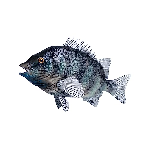 FELTECHELECTR Simulation Fischmodell Kunststoff Tier Ornament für Lernspielzeug zur Tierartenbereicherung Dekoration für Bildung und Umweltbewusstsein Verarbeitung Langlebig FELTECHELECTR Simulation Fischmodell Kunststoff Tier Ornament für Lernspielzeug zur Tierartenbereicherung Dekoration für Bildung und Umweltbewusstsein Verarbeitung Langlebig von FELTECHELECTR