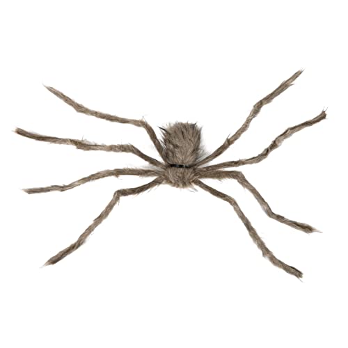 FELTECHELECTR Simulation Plüschspinne Halloween-schlauchboote Kinderspielzeug Halloween-spinne Krähe Gefälscht Große Spinne Unheimlich Riesige Spinne Im Freien Zu Halloween Haustier Brown FELTECHELECTR Simulation Plüschspinne Halloween-schlauchboote Kinderspielzeug Halloween-spinne Krähe Gefälscht Große Spinne Unheimlich Riesige Spinne Im Freien Zu Halloween Haustier Brown von FELTECHELECTR