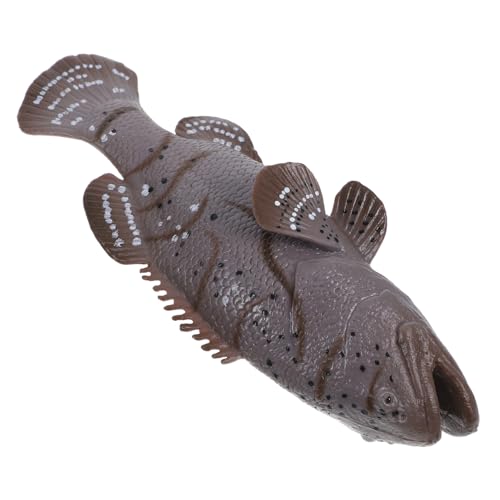 FELTECHELECTR Simulation Fisch Figur Aquarium Zubehör Realistische Seefisch Modell Kunststoff Zackenbarsch Spielzeug Für Jungen Und Mädchen Bildung FELTECHELECTR Simulation Fisch Figur Aquarium Zubehör Realistische Seefisch Modell Kunststoff Zackenbarsch Spielzeug Für Jungen Und Mädchen Bildung von FELTECHELECTR