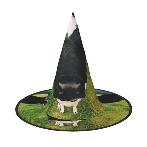 FEYUNYAN Halloween-Hexenhut, verstellbar, biegbar, Hexenkostüm, Zubehör für Frauen und Erwachsene, Party, spitze Zauberermütze, Präriekuh, Halloween-Hut, 3 Stück FEYUNYAN Halloween-Hexenhut, verstellbar, biegbar, Hexenkostüm, Zubehör für Frauen und Erwachsene, Party, spitze Zauberermütze, Präriekuh, Halloween-Hut, 3 Stück von FEYUNYAN