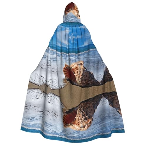 FEYUNYAN Kapuzenumhang für Erwachsene, Seaside Conch Halloween Umhang, Gothic Hexe Vampir Kostüm Zubehör, verstellbarer Bindeverschluss, weicher Polyester-Umhang für Cosplay & Halloween-Partys von FEYUNYAN