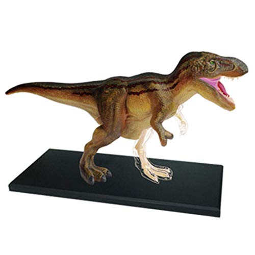 Lernmodell, anatomisches Tiermodell – Tyrannosaurus-Anatomiemodell – abnehmbares 36-teiliges Tier-Dinosaurier-Organanatomie-Lehrmodell – als medizinische Ausbildungshilfe von FFFHYIZH