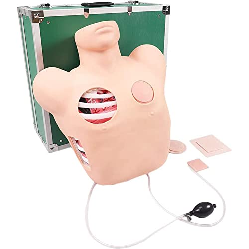 FHGDXCADCX Lehrmodell Patientenpflege Simulator - Thoracentese und Drainage Modell Pneumothorax und Flüssigkeitstruhe Geschlossene Drainage Training Körperpflege Modell Medizinische Ausbildung von FHGDXCADCX