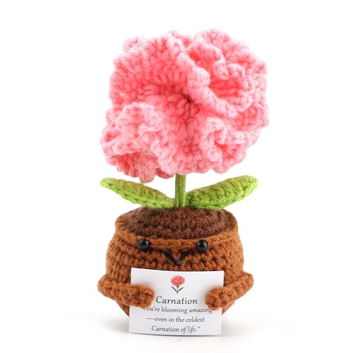 FIDWALL Positive Häkelblume Figur mit Eingebauter Affirmationskarte – Handgemachtes Geburtstagsblume Andenken für Frauen – Emotional Support, Glücksbringer, Pocket Hug (Nelke – Jan) von FIDWALL