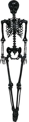 FIESTAS GUIRCA | Schwarzes Skelett (160 cm) - Halloween Dekoration für Partys und Feiern - Ideal für gruselige Umgebungen und Themen mit Totenköpfen und Skeletten - Schwarz von FIESTAS GUIRCA