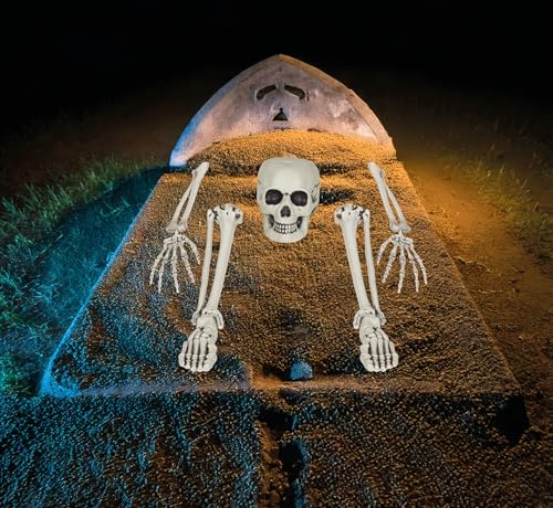 FIESTAS GUIRCA | Skelettknochen Set (5 Teile) - Halloween Dekoration für Kostümpartys - Skelette und Totenköpfe - Ideal für gruselige Atmosphären - Weiß von FIESTAS GUIRCA