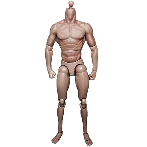FIGGRITID Schmale Schulter männliche Körperpuppe für TTM18 TTM19 Hot Toys & Human Body Sketch Model von FIGGRITID