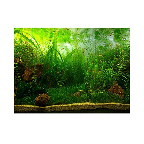 Aquarium Hintergrund Aquarium Dekorationen Bilder PVC Adhesive Poster Wasser Gras Stil Hintergrund Dekoration Papierklammer Aufkleber Aufkleber(61 * 30cm) von FILFEEL