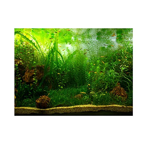 Aquarium Hintergrund Aquarium Dekorationen Bilder PVC Adhesive Poster Wasser Gras Stil Hintergrund Dekoration Papierklammer Aufkleber Aufkleber(76 * 30cm) von FILFEEL