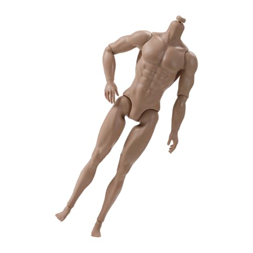Professionell 12 20 Zoll PVC Miniaturfigur Starke Puppen Männlich Artikulierter Körper 13 Gelenkbewegungen Männlich Figur Körper Artikulierter Muskel Für Aktionsfiguren Professionell 12 20 Zoll PVC Miniaturfigur Starke Puppen Männlich Artikulierter Körper 13 Gelenkbewegungen Männlich Figur Körper Artikulierter Muskel Für Aktionsfiguren von FIRSTXIU