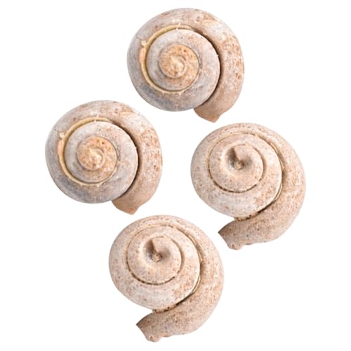FIXOSHEE 4 Stück Teiliges Schneckenfossil aus Versteinertem Meerestier Pädagogisches Lehrmittel für Schüler Dekorative Paläontologie Proben für Unterricht und Wohnraumgestaltung FIXOSHEE 4 Stück Teiliges Schneckenfossil aus Versteinertem Meerestier Pädagogisches Lehrmittel für Schüler Dekorative Paläontologie Proben für Unterricht und Wohnraumgestaltung von FIXOSHEE