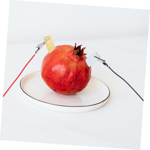 FIXOSHEE Fruchtbatterie Experimentierkasten DIY für Wissenschaftliches Stromerzeugung mit Obst und Kartoffel für Schulprojekte Stem Lernspielzeug Ab Jahren von FIXOSHEE