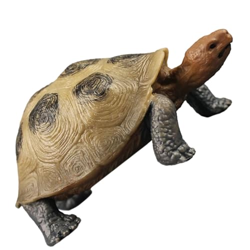 FIXOSHEE Lebensechte Landschildkröten Figur aus Robustem Kunststoff Detailgetreues Landturtle Ornament für Pädagogisches zur Tiererkennung und Natürliche Gartendeko Geschenk für Jungen und FIXOSHEE Lebensechte Landschildkröten Figur aus Robustem Kunststoff Detailgetreues Landturtle Ornament für Pädagogisches zur Tiererkennung und Natürliche Gartendeko Geschenk für Jungen und von FIXOSHEE