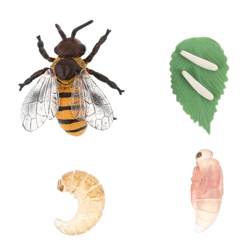 FIXOSHEE Lebenszyklus der Biene Modell Pädagogisches Insektenspielzeug für Lernhilfe Simulation Honigbiene Wachstumszyklus Realistisch und Anschaulich zur Frühkindlichen Bildung FIXOSHEE Lebenszyklus der Biene Modell Pädagogisches Insektenspielzeug für Lernhilfe Simulation Honigbiene Wachstumszyklus Realistisch und Anschaulich zur Frühkindlichen Bildung von FIXOSHEE