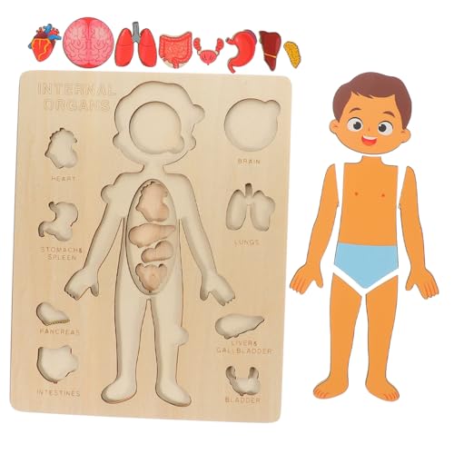 FIXOSHEE Lernspiel Menschliche Organe Puzzle Körperbau Lehrmittel für Vorschule Körperteile Lernen Montessori Frühförderung für Jungen Mädchen FIXOSHEE Lernspiel Menschliche Organe Puzzle Körperbau Lehrmittel für Vorschule Körperteile Lernen Montessori Frühförderung für Jungen Mädchen von FIXOSHEE