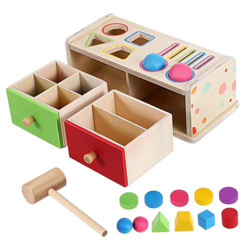 FIXOSHEE Montessori Holz Formensortierer Farbige Geometrische Für Kleinkinder Feinmotorik Frühe Bildung Jungen Mädchen von FIXOSHEE