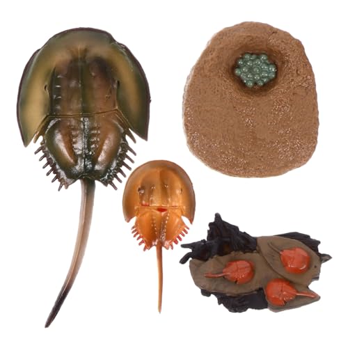 FIXOSHEE Organism Modell Realistische Miniatur Meeres Tierfiguren aus Stabiles Desktop für Pädagogisch und Dekorativ Geeignet für Junge Mädchen Lernspielzeug FIXOSHEE Organism Modell Realistische Miniatur Meeres Tierfiguren aus Stabiles Desktop für Pädagogisch und Dekorativ Geeignet für Junge Mädchen Lernspielzeug von FIXOSHEE
