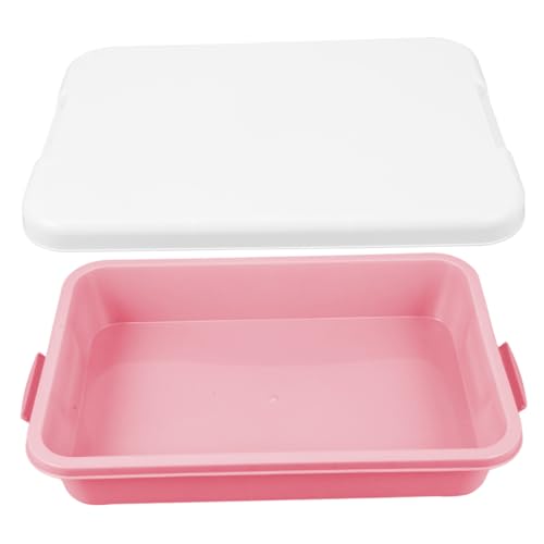 FIXOSHEE Plastik Sandkastenbox mit Deckel Tragbare Aufbewahrungsbox für Sandspielzeug Große Kapazität Vielseitig Nutzbar für Kinderzimmer Outdoor Sandspiel Zubehör Leicht Transportierbar von FIXOSHEE