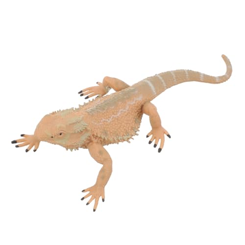 FIXOSHEE Realistisches Bartagamen Modell aus Kunststoff Leichtes Reptilien Pädagogisches Lizard Party Dekor Tragbare Figur für Garten Schule Zuhause von FIXOSHEE