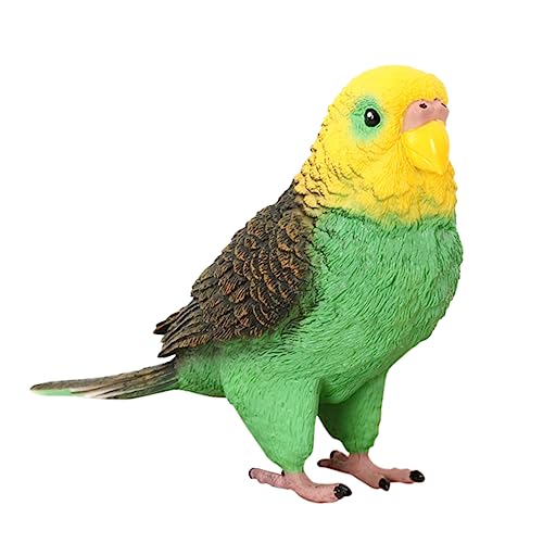 FIXOSHEE Realistisches Budgerigar Modell Hochwertiges Festes Kunststoff Papageien Dekorationsspielzeug Detailreiches Statisches Desktop Ornament Kinderfreundlich für Heim und FIXOSHEE Realistisches Budgerigar Modell Hochwertiges Festes Kunststoff Papageien Dekorationsspielzeug Detailreiches Statisches Desktop Ornament Kinderfreundlich für Heim und von FIXOSHEE