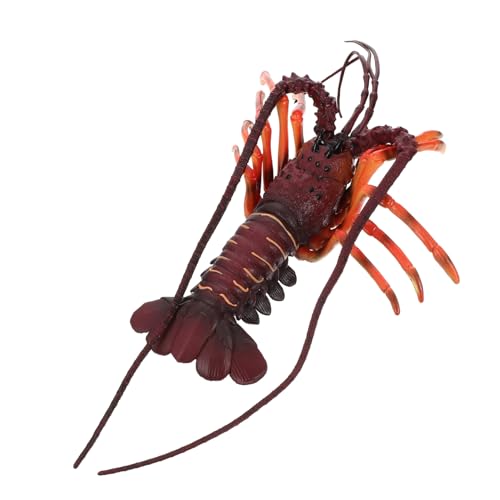 FIXOSHEE Realistisches Hummer Modell Tierfigur Deko Leicht Tragbar Naturgetreu Pädagogisch Geeignet für Naturkunde Lernen und Fantasievolles FIXOSHEE Realistisches Hummer Modell Tierfigur Deko Leicht Tragbar Naturgetreu Pädagogisch Geeignet für Naturkunde Lernen und Fantasievolles von FIXOSHEE
