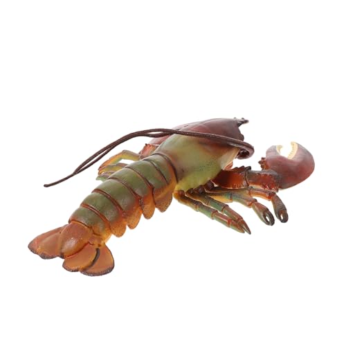 FIXOSHEE Realistisches Hummer Modell für Detailgetreues Meerestier Dekofigur Robustes Sammelobjekt für Kinderzimmer und Schlafzimmer Pädagogisches Meeresbewohner FIXOSHEE Realistisches Hummer Modell für Detailgetreues Meerestier Dekofigur Robustes Sammelobjekt für Kinderzimmer und Schlafzimmer Pädagogisches Meeresbewohner von FIXOSHEE