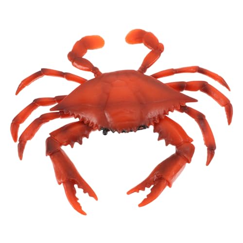 FIXOSHEE Realistisches Krabbenmodell Meerestiere Simulation Lernspielzeug Umweltfreundlich Deko Strand Meer FIXOSHEE Realistisches Krabbenmodell Meerestiere Simulation Lernspielzeug Umweltfreundlich Deko Strand Meer von FIXOSHEE