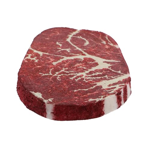 FIXOSHEE Realistisches Steak Modell aus Strapazierfähigem Polymerharz Künstliches Rindfleisch Requisit für Fotografie Küchen Dekoration und Markt Displays Vielseitiges Gefrorenes Fake Meat von FIXOSHEE