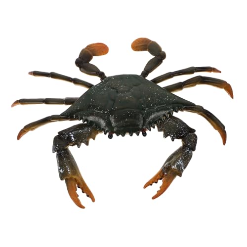 FIXOSHEE Simulations krabbenmodell aus Pädagogisches Lernspielzeug für Realistische Meeresbewohner Nachbildung Leicht Sicher Kratzfest Fördert Kognitive Entwicklung FIXOSHEE Simulations krabbenmodell aus Pädagogisches Lernspielzeug für Realistische Meeresbewohner Nachbildung Leicht Sicher Kratzfest Fördert Kognitive Entwicklung von FIXOSHEE