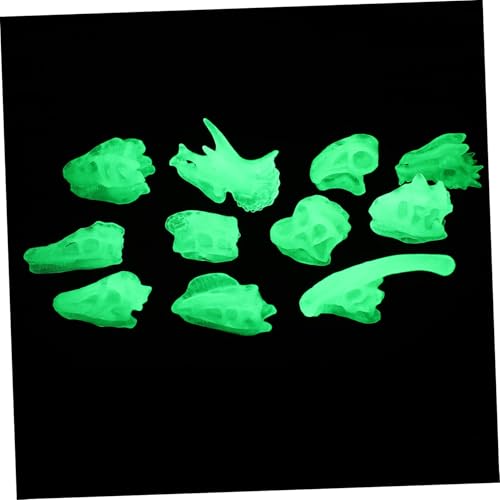 FIXOSHEE The Dark Dinosaur Bone Modell aus Langlebigem PVC Realistischer Dinosaurier Schädel als Lernspielzeug für Fördert Erkennung und Geschicklichkeit Geschenkidee für Dino Fans für FIXOSHEE The Dark Dinosaur Bone Modell aus Langlebigem PVC Realistischer Dinosaurier Schädel als Lernspielzeug für Fördert Erkennung und Geschicklichkeit Geschenkidee für Dino Fans für von FIXOSHEE